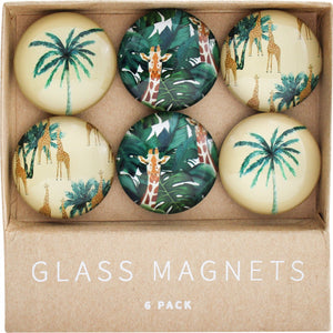 Glass Magnets set of 6